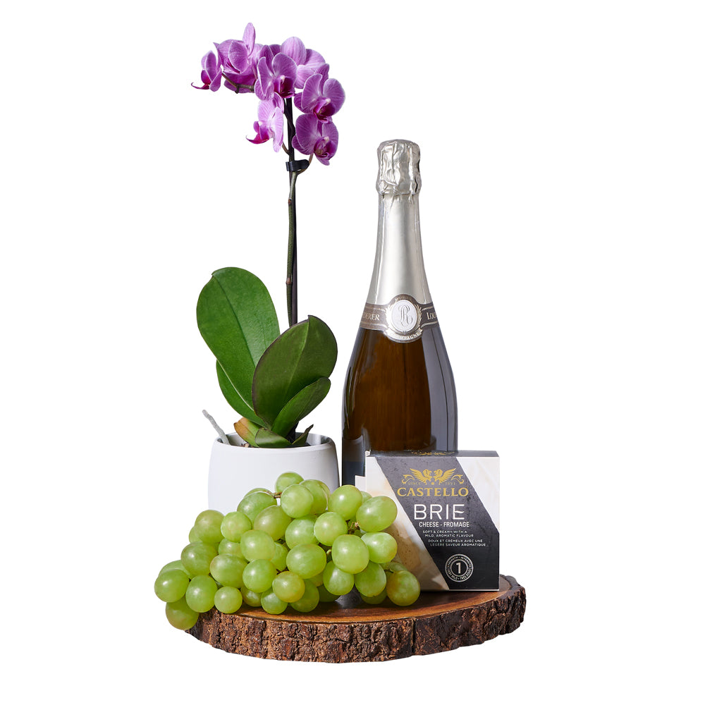 Champagne & Orchid Gourmet Gift, gourmet gift, gourmet, sparkling wine gift, sparkling wine, champagne gift, champagne, orchid gift, orchid, plant gift, plant