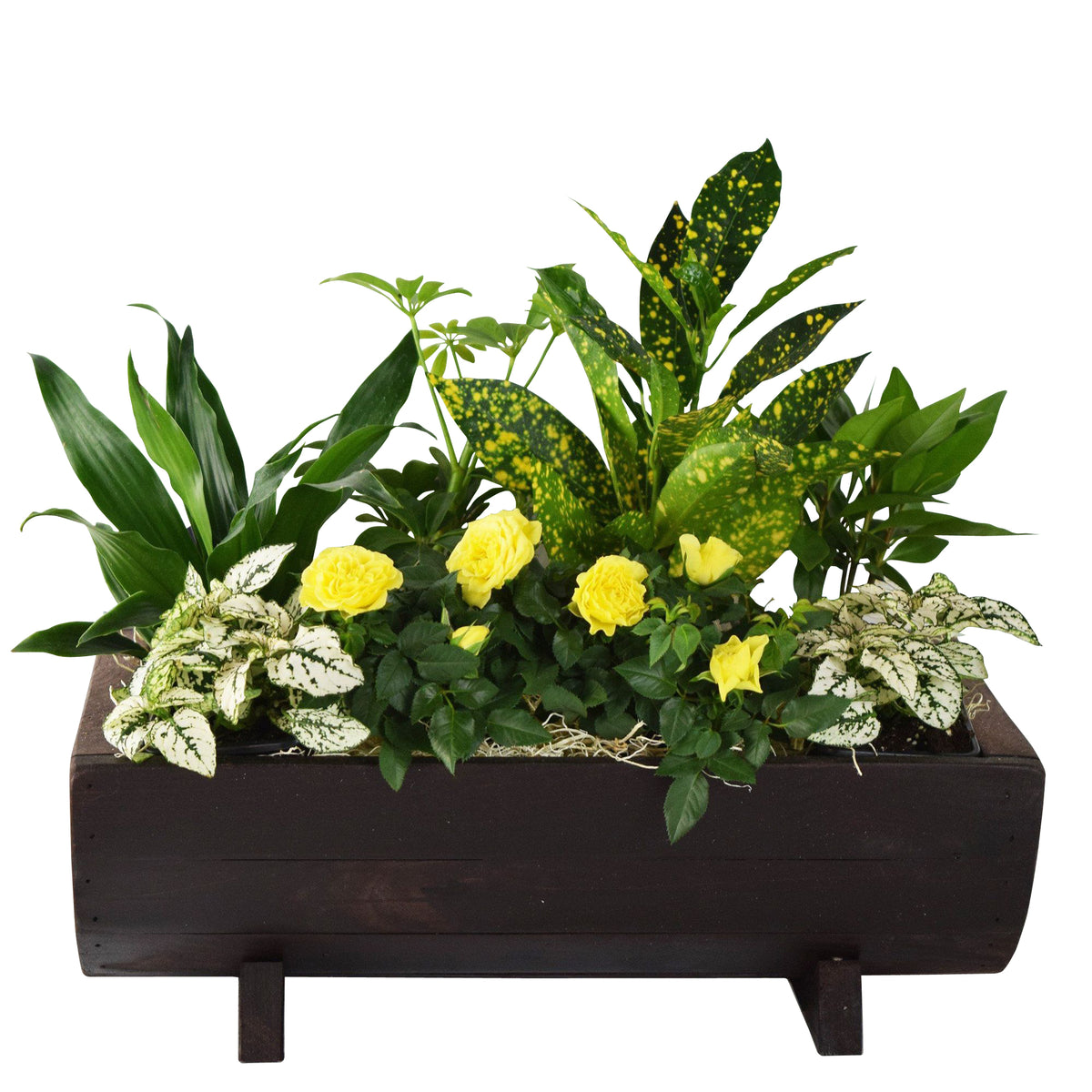 The Green Thumb