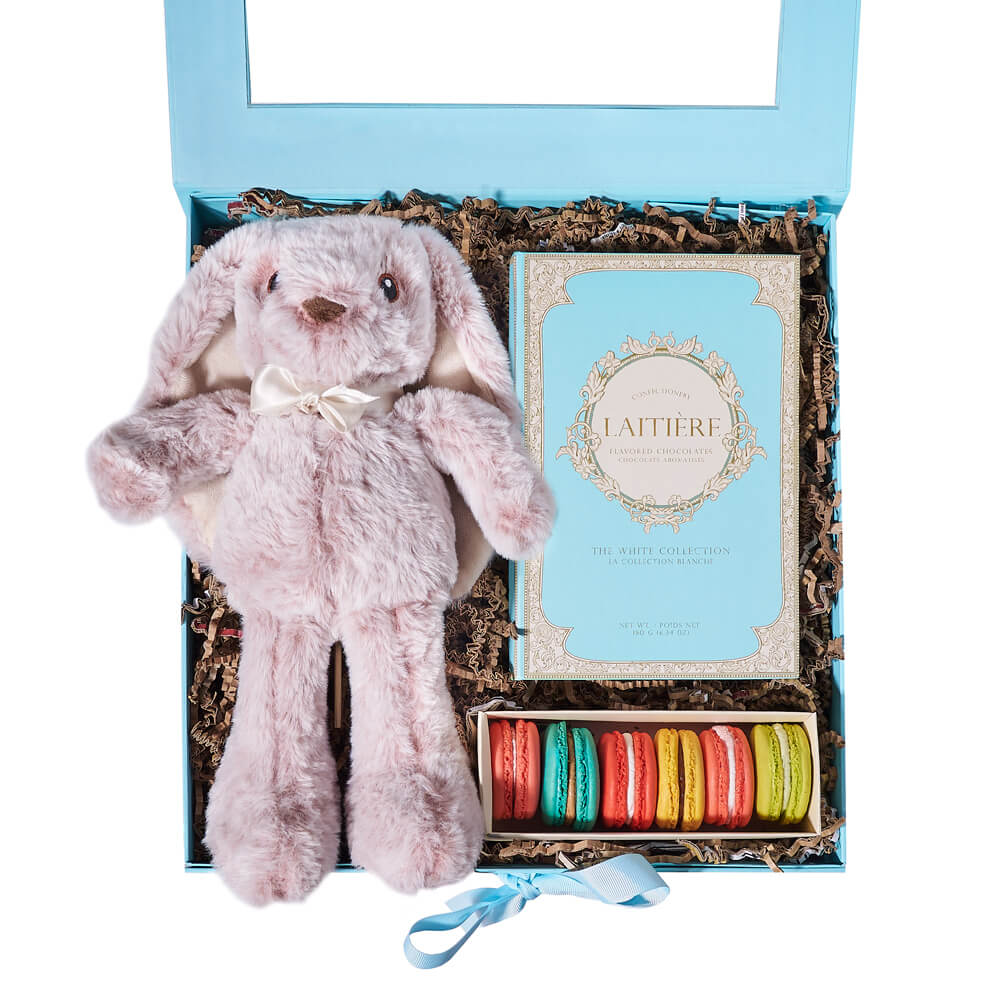 Easter Treat Bunny Box, easter gift, easter, cookie gift, cookies, chocolate gift, chocolate, gourmet gift, gourmet