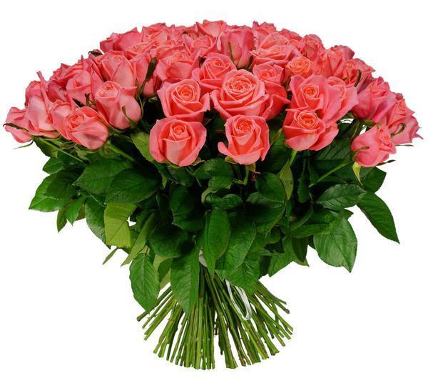 Single Colour Pink Roses Flower Bouquet